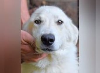 Yasmine - freundlicher Sonnenschein sucht sonniges Plätzchen