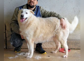 Sallustio - Der Sinn des Lebens