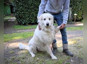 Quilmar - Was werden sie erzählen?