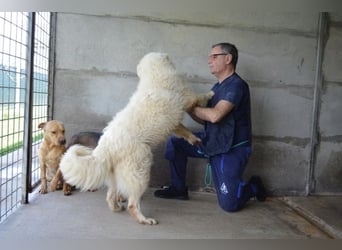 Quebry - Es ist, was es ist...