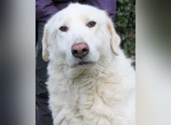 Makeen - es ist die Ohnmacht.....