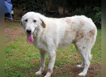 Dayton - niemals ist eine schrecklich lange Zeit