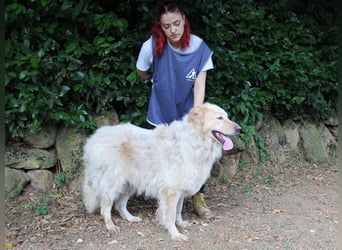 Paolo - Oh, huch, wow!!!