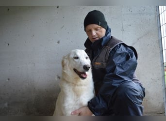 Meriwa - Doch nur wieder ein Kurzbesuch.....