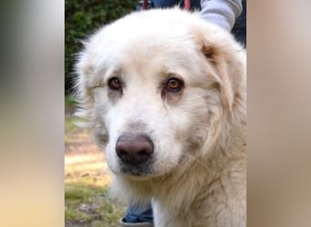 Quilmar - Was werden sie erzählen?