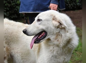 Dayton - niemals ist eine schrecklich lange Zeit