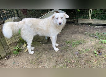 Sindbad - Zwischen Vorsicht und Vertrauen