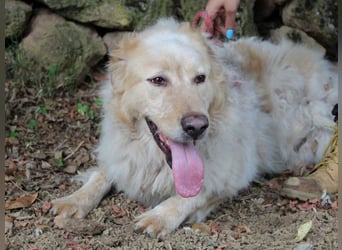 Paolo - Oh, huch, wow!!!