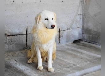 Fredrik - Was nach der Trennung kommt