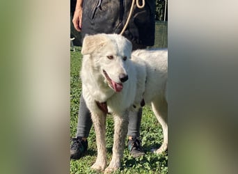 Mona - eine weiße Herzensbrecherin und ihre drei Schwestern