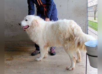 Leverett - Ich sehe was, was du (noch) nicht siehst!