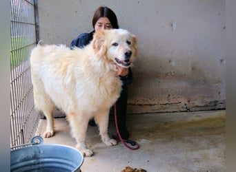 Skilah - Wenn Niemand zu Jemand wird
