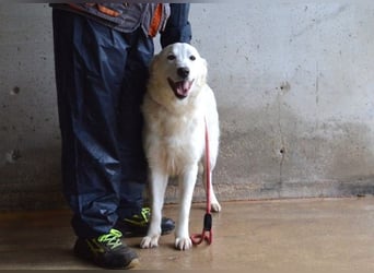 Meriwa - Doch nur wieder ein Kurzbesuch.....