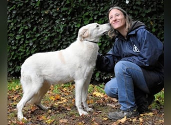 Yasmine - freundlicher Sonnenschein sucht sonniges Plätzchen