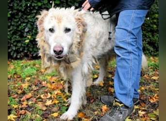 Akamu - Sucht seinen passenden Deckel