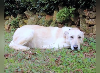 Yannick - eine zweite Kindheit?