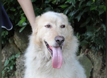 Paolo - Oh, huch, wow!!!