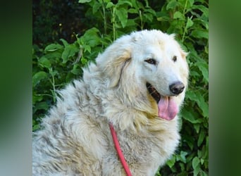 Filomela - Vom Sorgenkind zum Sonnenschein