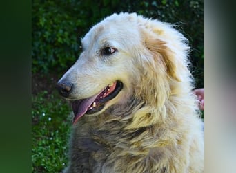 Filomela - Vom Sorgenkind zum Sonnenschein