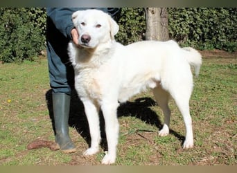 Sallustio - Der Sinn des Lebens