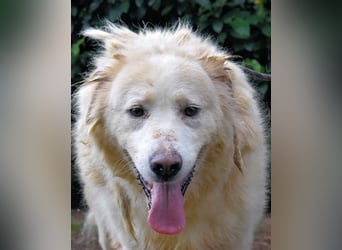 Eluard - Hoffnung auf echte Freundschaft!