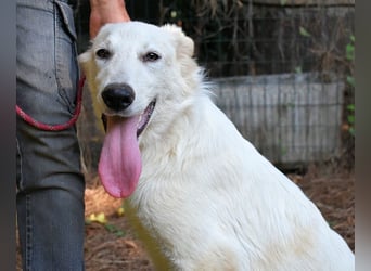 Isana - Wo ist mein neues Leben?