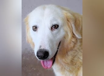 Benilda - Familiemutter in Not