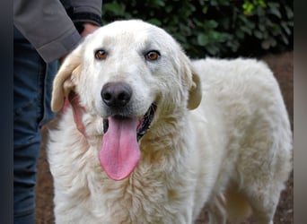 Dayton - niemals ist eine schrecklich lange Zeit