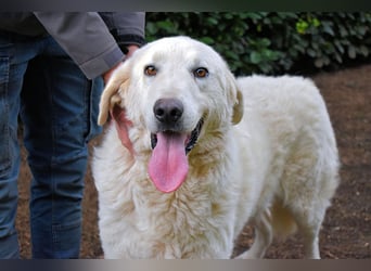 Dayton - niemals ist eine schrecklich lange Zeit