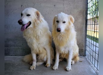 Fredrik - Für immer zusammen?