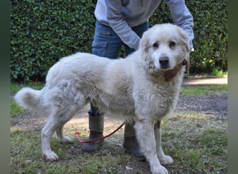 Quilmar - Was werden sie erzählen?