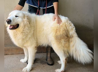 Leverett - Ich sehe was, was du (noch) nicht siehst!