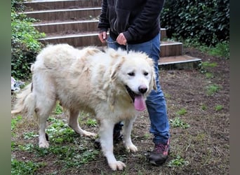 Eluard - Hoffnung auf echte Freundschaft!