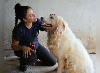 Eskie - aber bitte mit Sahne ins Glück!