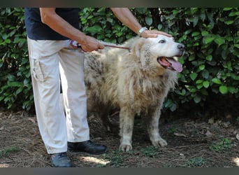 Noak - Alles nur Wunschdenken... ?