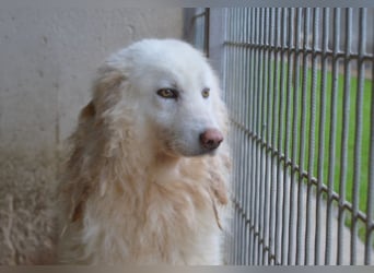 Fredrik - Was nach der Trennung kommt