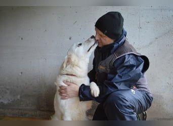 Meriwa - Doch nur wieder ein Kurzbesuch.....