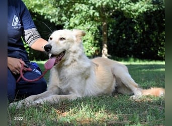 Antiloco - Nur ein Wunsch: endlich nach Hause!