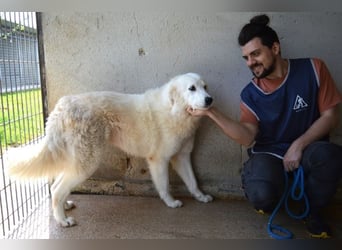 Amaya - So schön und so schrecklich? Amaya - So schön und so schrecklich?