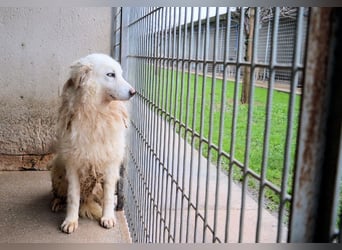 Fredrik - Was nach der Trennung kommt