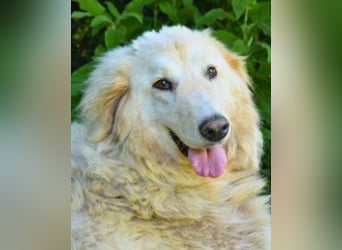 Filomela - Vom Sorgenkind zum Sonnenschein