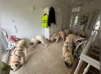 Stardust - Von der Erde zum Mond und zurück....