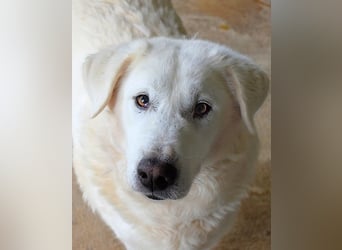 Sallustio - Der Sinn des Lebens