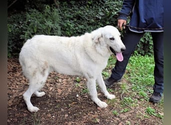 Dayton - niemals ist eine schrecklich lange Zeit