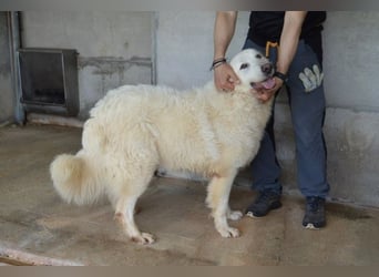 Quebry - Es ist, was es ist...