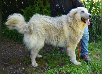 Filomela - Vom Sorgenkind zum Sonnenschein