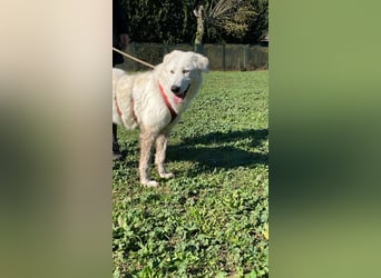 Mona - eine weiße Herzensbrecherin und ihre drei Schwestern