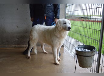 Rosvielle - Auf einer Skala von 1 bis 10....