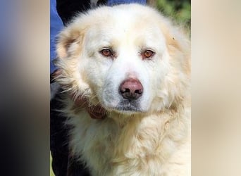 Eluard - Hoffnung auf echte Freundschaft!