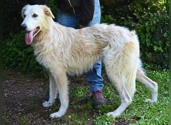 Isana - Wo ist mein neues Leben?